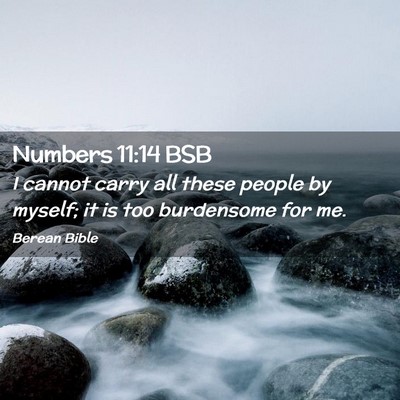 Picture 02 - Numbers 11:14 BSB - I cannot carry all these people by myself; it is - Bible Verse Picture