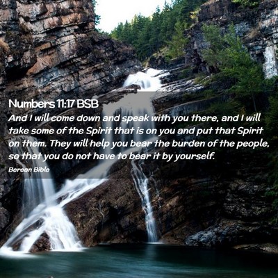 Picture 02 - Numbers 11:17 BSB - And I will come down and speak with you there, - Bible Verse Picture