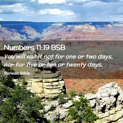 Picture 02 - Numbers 11:19 BSB - You will eat it not for one or two days, nor for - Bible Verse Picture