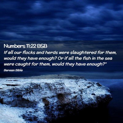 Picture 02 - Numbers 11:22 BSB - If all our flocks and herds were slaughtered for - Bible Verse Picture