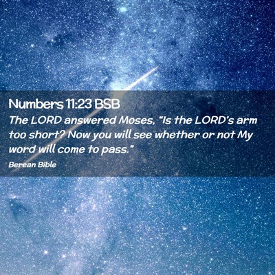 Picture 02 - Numbers 11:23 BSB - The LORD answered Moses, “Is the LORD’s arm - Bible Verse Picture