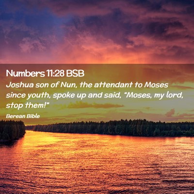 Picture 02 - Numbers 11:28 BSB - Joshua son of Nun, the attendant to Moses since - Bible Verse Picture