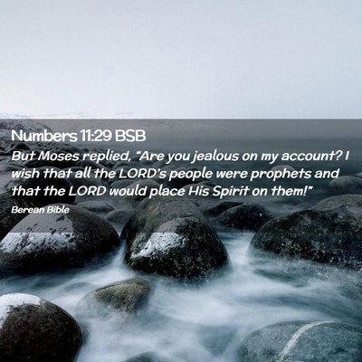 Picture 02 - Numbers 11:29 BSB - But Moses replied, “Are you jealous on my - Bible Verse Picture