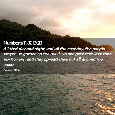 Picture 02 - Numbers 11:32 BSB - All that day and night, and all the next day, the - Bible Verse Picture