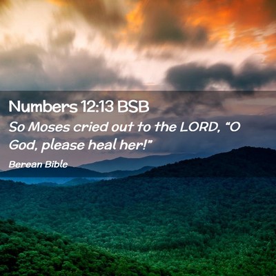 Picture 02 - Numbers 12:13 BSB - So Moses cried out to the LORD, “O God, please - Bible Verse Picture