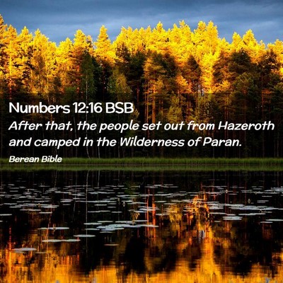 Picture 02 - Numbers 12:16 BSB - After that, the people set out from Hazeroth and - Bible Verse Picture