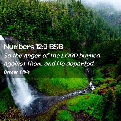 Picture 02 - Numbers 12:9 BSB - So the anger of the LORD burned against them, and - Bible Verse Picture