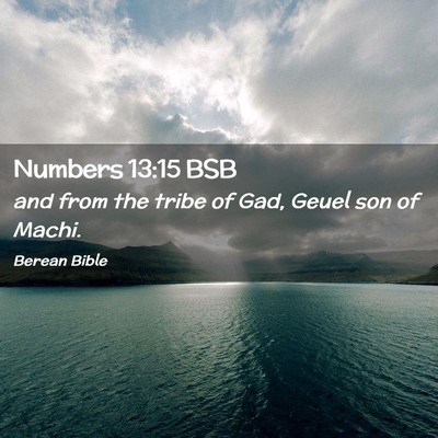 Picture 02 - Numbers 13:15 BSB - and from the tribe of Gad, Geuel son of - Bible Verse Picture