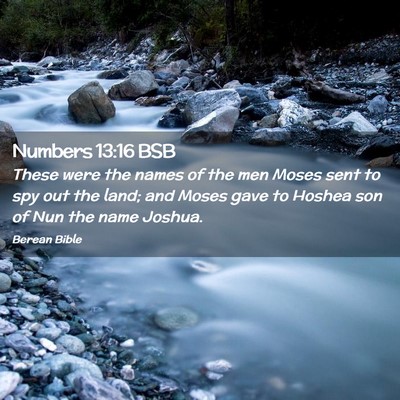 Picture 02 - Numbers 13:16 BSB - These were the names of the men Moses sent to spy - Bible Verse Picture