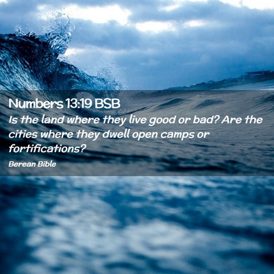 Picture 02 - Numbers 13:19 BSB - Is the land where they live good or bad? Are the - Bible Verse Picture