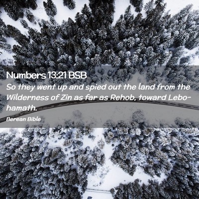 Picture 02 - Numbers 13:21 BSB - So they went up and spied out the land from the - Bible Verse Picture