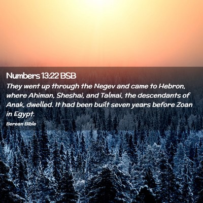 Picture 02 - Numbers 13:22 BSB - They went up through the Negev and came to - Bible Verse Picture