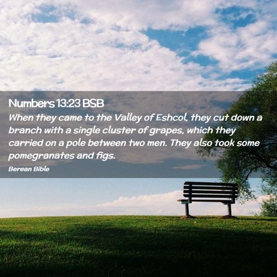 Picture 02 - Numbers 13:23 BSB - When they came to the Valley of Eshcol, they cut - Bible Verse Picture