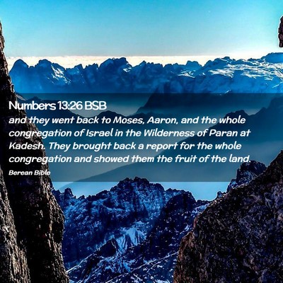 Picture 02 - Numbers 13:26 BSB - and they went back to Moses, Aaron, and the whole - Bible Verse Picture