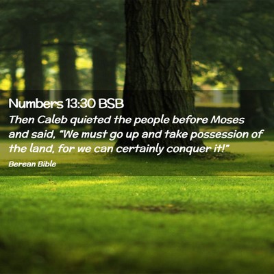 Picture 02 - Numbers 13:30 BSB - Then Caleb quieted the people before Moses and - Bible Verse Picture