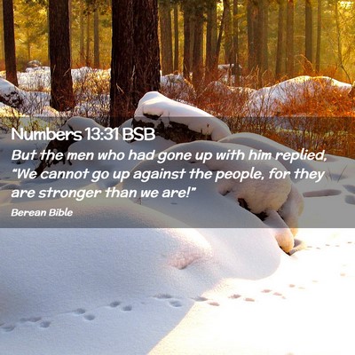 Picture 02 - Numbers 13:31 BSB - But the men who had gone up with him replied, - Bible Verse Picture