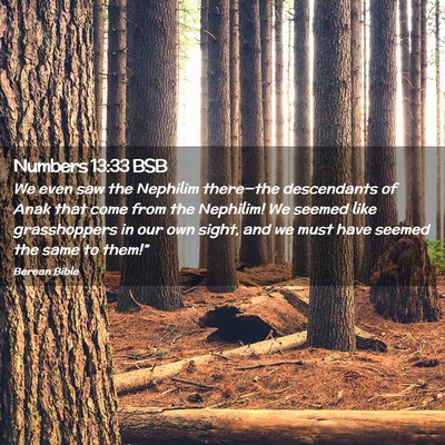 Picture 02 - Numbers 13:33 BSB - We even saw the Nephilim there—the descendants - Bible Verse Picture