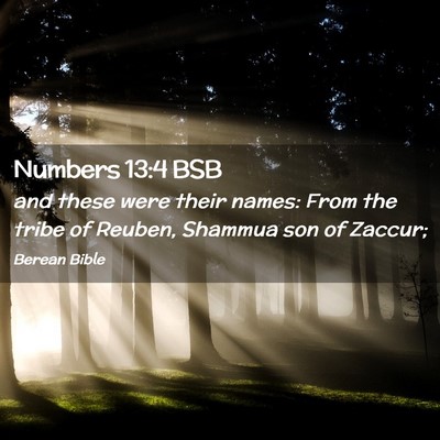 Picture 02 - Numbers 13:4 BSB - and these were their names: From the tribe of - Bible Verse Picture