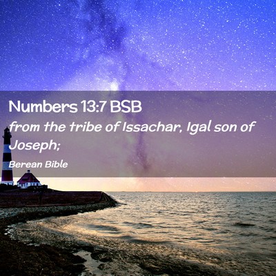 Picture 02 - Numbers 13:7 BSB - from the tribe of Issachar, Igal son of - Bible Verse Picture