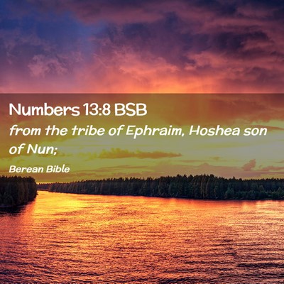Picture 02 - Numbers 13:8 BSB - from the tribe of Ephraim, Hoshea son of - Bible Verse Picture