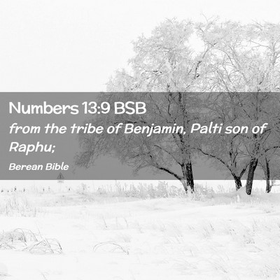 Picture 02 - Numbers 13:9 BSB - from the tribe of Benjamin, Palti son of - Bible Verse Picture