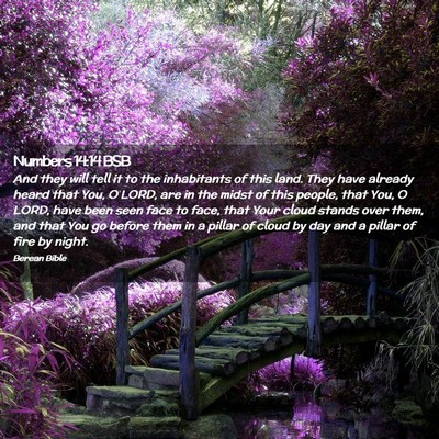Picture 02 - Numbers 14:14 BSB - And they will tell it to the inhabitants of this - Bible Verse Picture