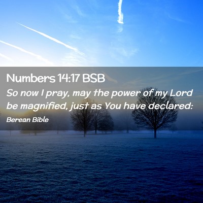 Picture 02 - Numbers 14:17 BSB - So now I pray, may the power of my Lord be - Bible Verse Picture