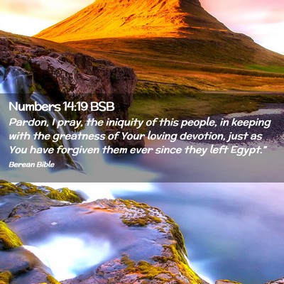 Picture 02 - Numbers 14:19 BSB - Pardon, I pray, the iniquity of this people, in - Bible Verse Picture