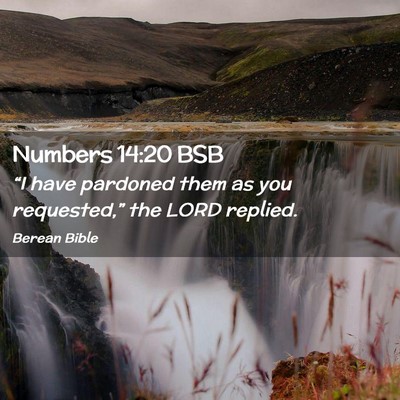 Picture 02 - Numbers 14:20 BSB - “I have pardoned them as you requested,” the - Bible Verse Picture