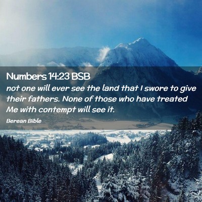 Picture 02 - Numbers 14:23 BSB - not one will ever see the land that I swore to - Bible Verse Picture