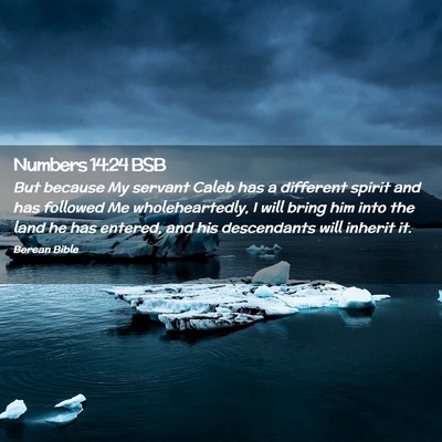 Picture 02 - Numbers 14:24 BSB - But because My servant Caleb has a different - Bible Verse Picture