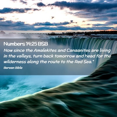 Picture 02 - Numbers 14:25 BSB - Now since the Amalekites and Canaanites are - Bible Verse Picture
