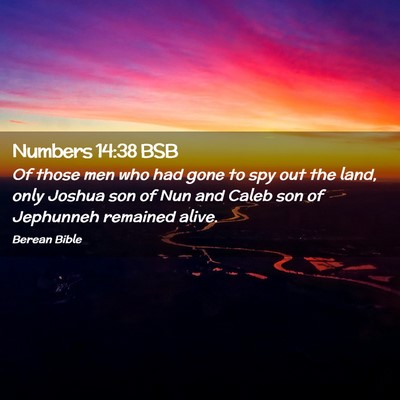 Picture 02 - Numbers 14:38 BSB - Of those men who had gone to spy out the land, - Bible Verse Picture
