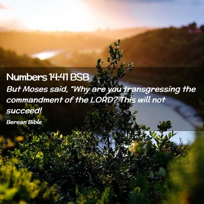 Picture 02 - Numbers 14:41 BSB - But Moses said, “Why are you transgressing the - Bible Verse Picture
