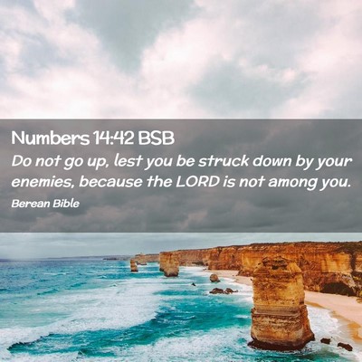 Picture 02 - Numbers 14:42 BSB - Do not go up, lest you be struck down by your - Bible Verse Picture