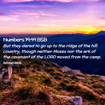 Picture 02 - Numbers 14:44 BSB - But they dared to go up to the ridge of the hill - Bible Verse Picture