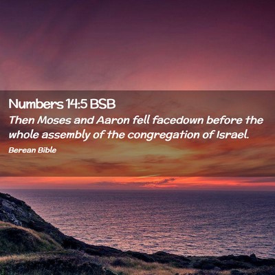 Picture 02 - Numbers 14:5 BSB - Then Moses and Aaron fell facedown before the - Bible Verse Picture