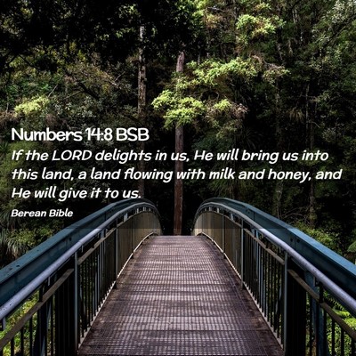 Picture 02 - Numbers 14:8 BSB - If the LORD delights in us, He will bring us into - Bible Verse Picture
