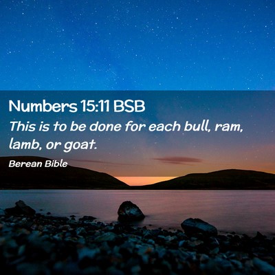 Picture 02 - Numbers 15:11 BSB - This is to be done for each bull, ram, lamb, or - Bible Verse Picture