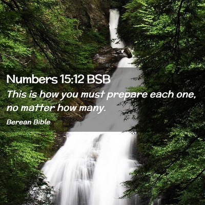 Picture 02 - Numbers 15:12 BSB - This is how you must prepare each one, no matter - Bible Verse Picture