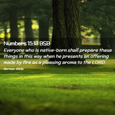 Picture 02 - Numbers 15:13 BSB - Everyone who is native-born shall prepare these - Bible Verse Picture
