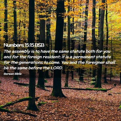 Picture 02 - Numbers 15:15 BSB - The assembly is to have the same statute both for - Bible Verse Picture