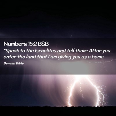 Picture 02 - Numbers 15:2 BSB - “Speak to the Israelites and tell them: After - Bible Verse Picture