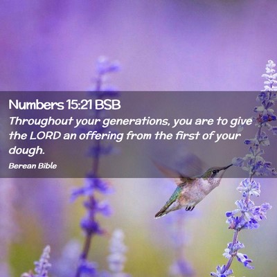 Picture 02 - Numbers 15:21 BSB - Throughout your generations, you are to give the - Bible Verse Picture