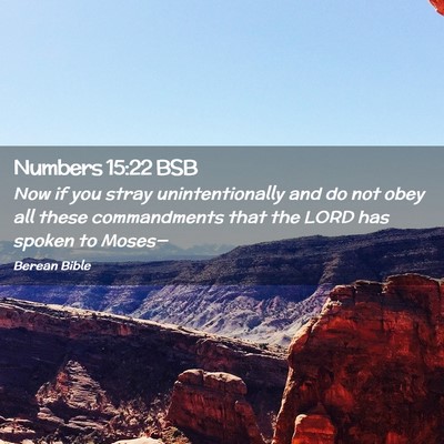 Picture 02 - Numbers 15:22 BSB - Now if you stray unintentionally and do not obey - Bible Verse Picture