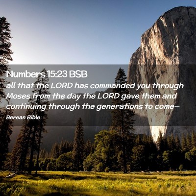 Picture 02 - Numbers 15:23 BSB - all that the LORD has commanded you through Moses - Bible Verse Picture