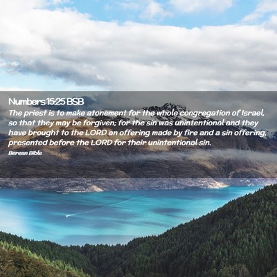 Picture 02 - Numbers 15:25 BSB - The priest is to make atonement for the whole - Bible Verse Picture