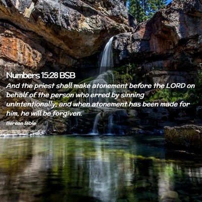 Picture 02 - Numbers 15:28 BSB - And the priest shall make atonement before the - Bible Verse Picture