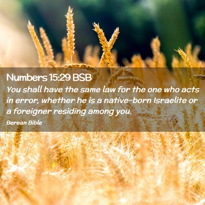 Picture 02 - Numbers 15:29 BSB - You shall have the same law for the one who acts - Bible Verse Picture