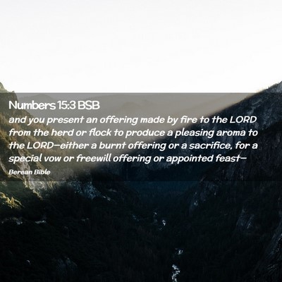 Picture 02 - Numbers 15:3 BSB - and you present an offering made by fire to the - Bible Verse Picture